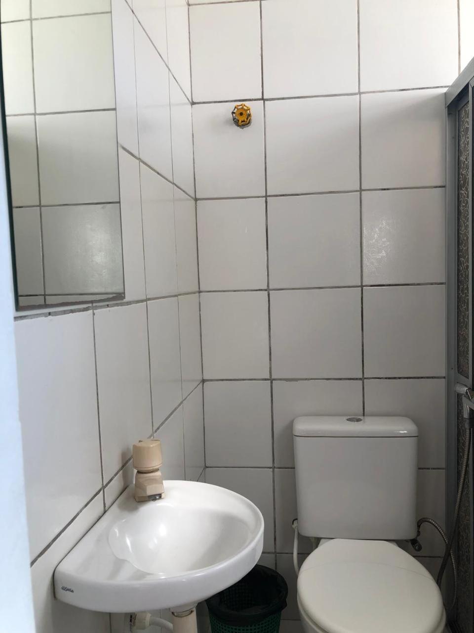 Oiticica * Fortaleza (Ceara)