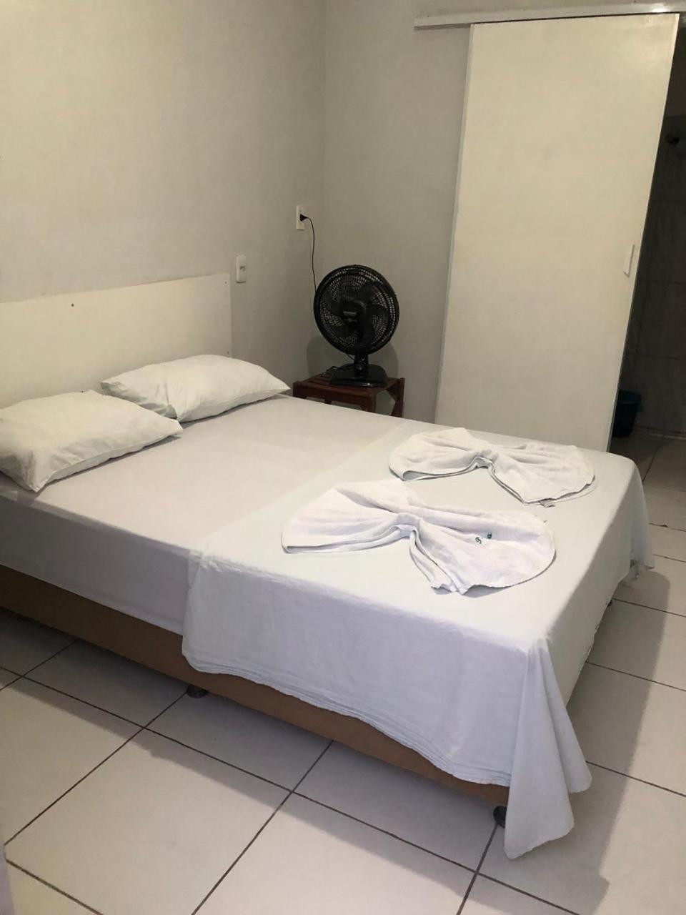 Oiticica * Fortaleza (Ceara)